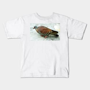 Rock Pigeon, Table Mountain, South Africa Kids T-Shirt